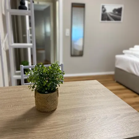 Gasthuis Repeat Racing